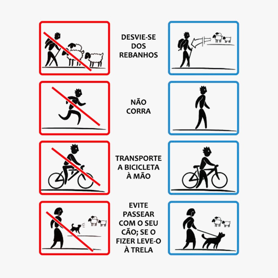 Basic rules of conduct